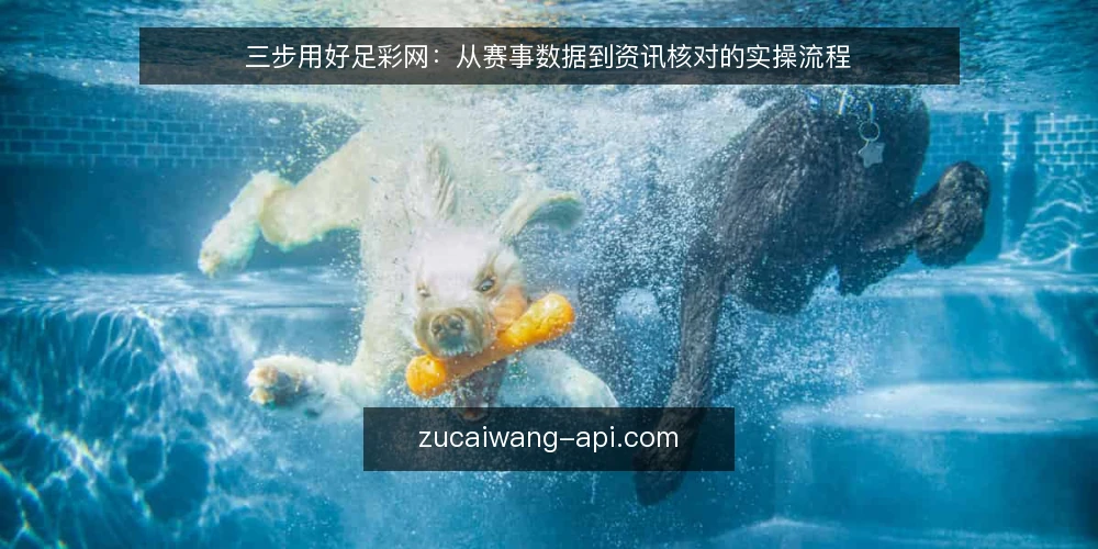 三步用好足彩网:从赛事数据到资讯核对的实操流程 — 第一步:明确使用场景与需求边界 配图